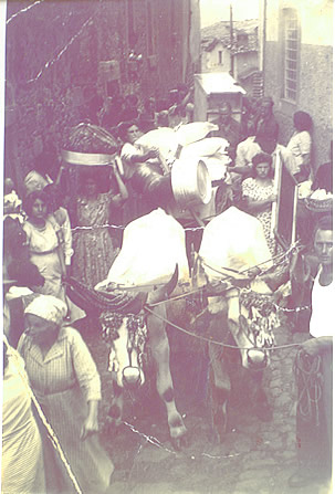 Bagnolo Amatrice  Matrimonio
